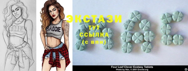 стаф Аркадак