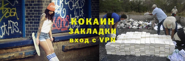 стаф Аркадак