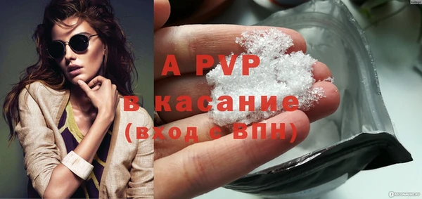 стаф Аркадак