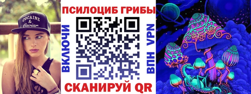 Псилоцибиновые грибы мицелий  магазин продажи наркотиков  Кувшиново 
